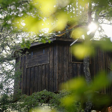 La cabane de la Sainte Baume