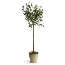 Transitional Artificial Plants And Trees by Napa Home & Garden