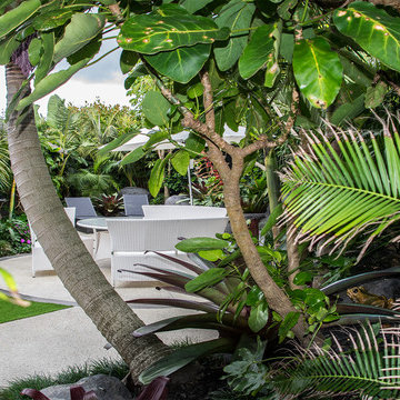 Tropical Delight