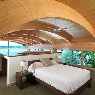 Curved Ceiling Houzz