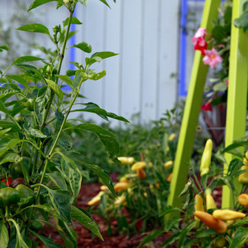 Akoris Garden Tuteur in the garden