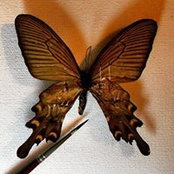 Abdurahim Doğan's photo
