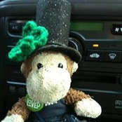Foto von Bippy TheMonkey