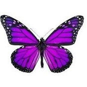 Norma Heras's photo