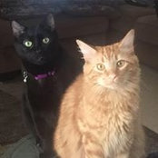 Rosetta Dobbins's photo