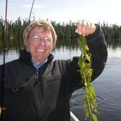 Denis Crane's photo
