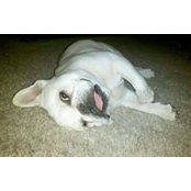 Maxwell James's photo