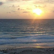 JoAnne Krawczyk's photo