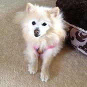 Julie Gross Hoffman's photo