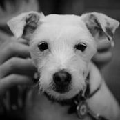 Moyna Bear's photo