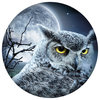 Owl Moon Wall Art, 12"