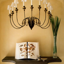 Vignettes