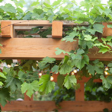 Smith Pergola