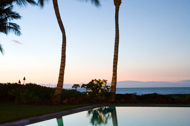 Pool - tropical pool idea in San Francisco