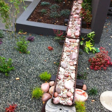 Japanese Garden