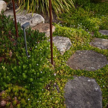 Finalist - 2022 Residential Landscape Design of the Year - Pepo Botanic Design