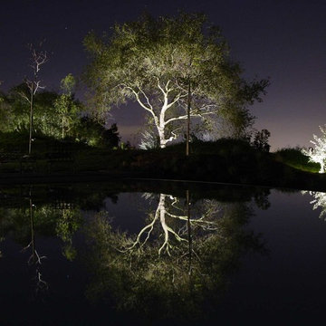 Artistic Night Lighting ~ Affordable Lawn Sprinklers and Lighting