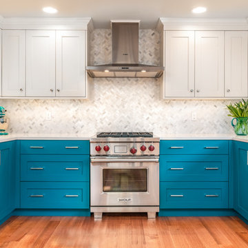 Bold & Blue Transitional Kitchen