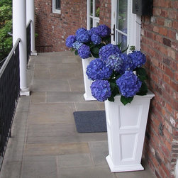 Outdoor Decor - Outdoor Decor