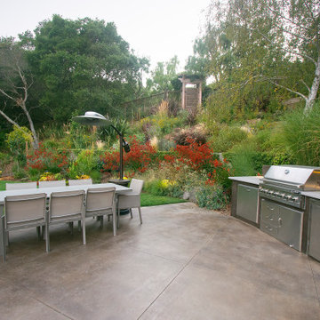 Mill Valley Hillside Landscaping