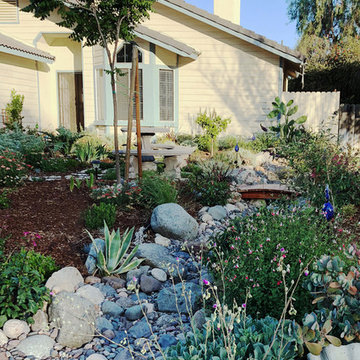 No Lawn Suburban Front Yard