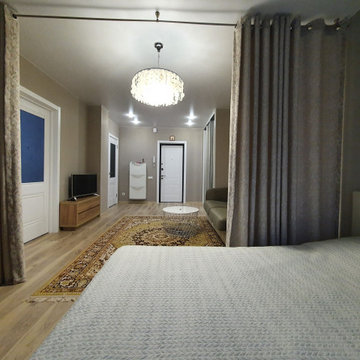 Переделка существующей гостиной-спальни-прихожей 23,26 м/кв