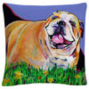 Spring Fever' Animals Pets Painting Bold Decorative Throw Pillow