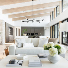 Living Room Ideas