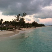 Celia Zanatta's photo