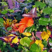 Barbara Shultz's photo