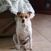 Guillermo Alvarez's photo