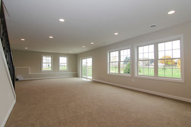 Transitional basement photo in Milwaukee