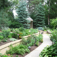Landscape Ideas