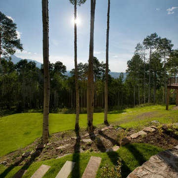Contemporary Full Home Design in Raspberry Patch, CO