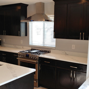 Kitchen Remodel - Grand Junction