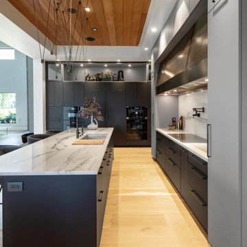 Modern Kitchen Design and Build New Construction