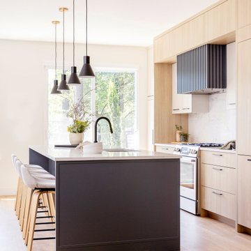 GOVERMENT LANE RENOVATION | TOWNHOUSE | BURNABY