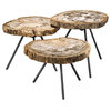 Wood Slice Coffee Table Set | Eichholtz De Soto, brown, 25"D x 20"H x 20"H