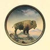 Aaron Clark's photo