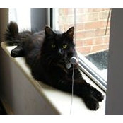 Tanya Samuel-Stanley's photo