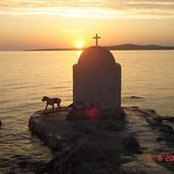 Boka Mustać's photo