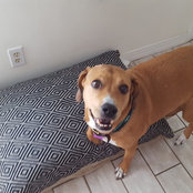 Jody Dupuis's photo