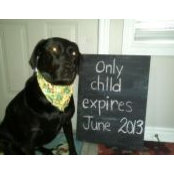 Krista Boyes's photo