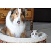 Amanda Marzinzik's photo