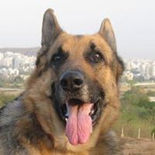 Mridul Gupta's photo