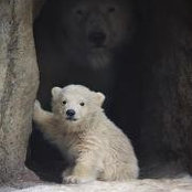 Carrie Woodall-Pike's photo