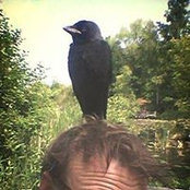Rasmus Lütken's photo
