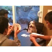 Kyle Huang's photo
