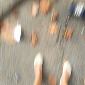 Alessandra Stella's photo
