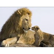 Anthony Simonetta's photo